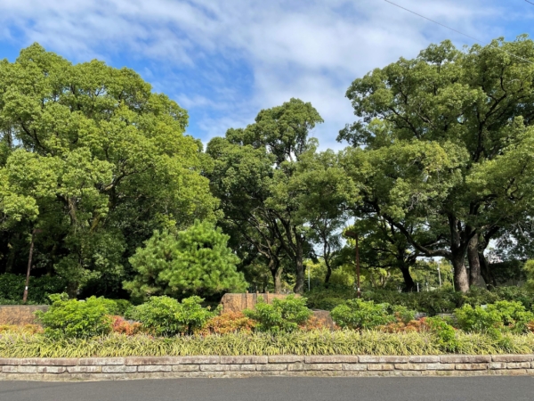 松葉公園