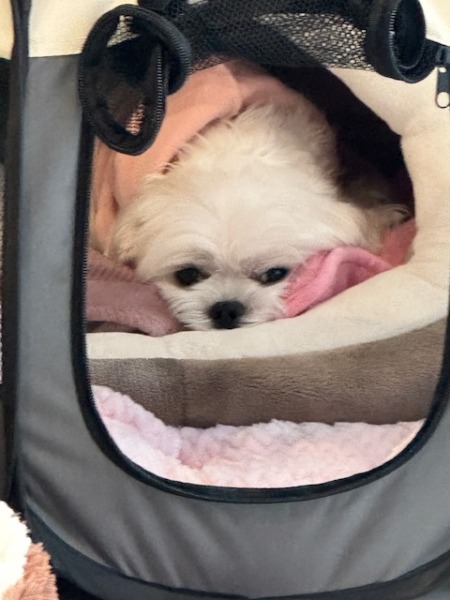 「寒さに負けないために」